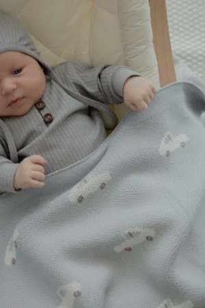 Плед детский Loomknits Baby Car (100х100 см) 8