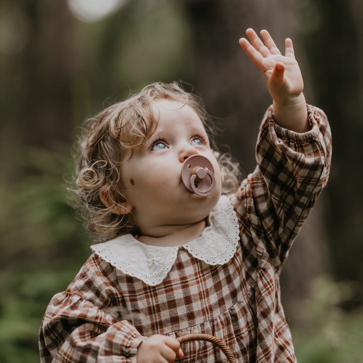 Пустышка латексная BIBS Colour Pink Plum 6+ мес. 3