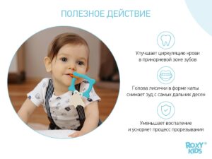 Прорезыватель Roxy Kids Fox 11