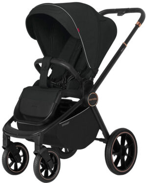 Коляска 2 в 1 Carrello Epica 6