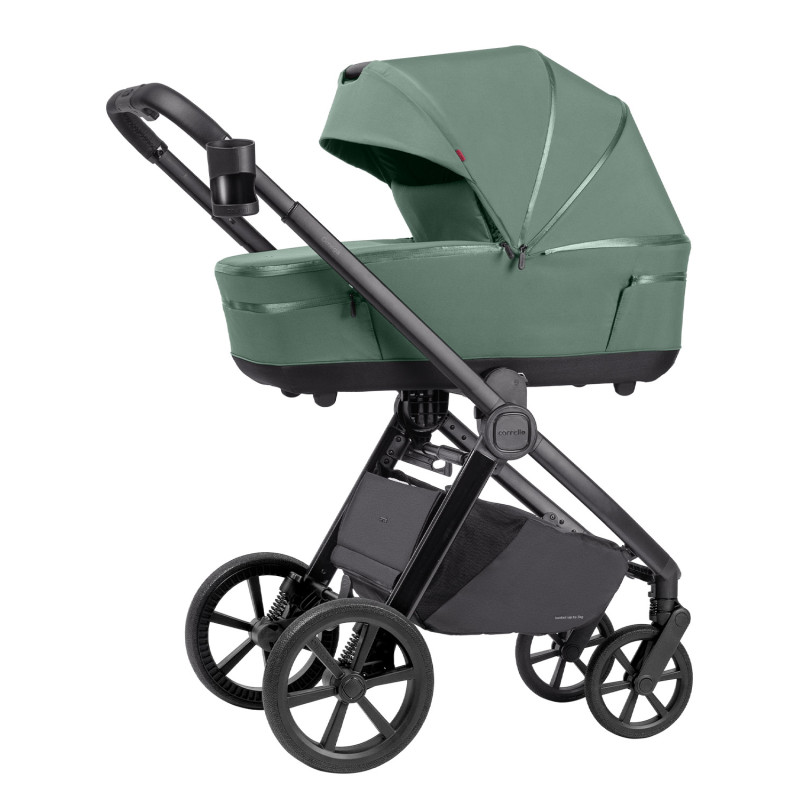 Коляска 2в1 Carrello Omega NEW 1