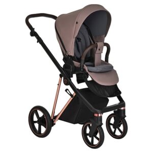 Коляска 2 в 1 Roan Sol Luxury 18