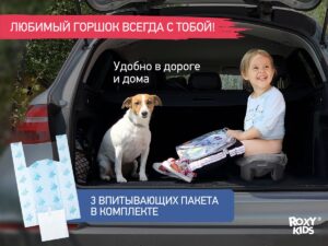 Горшок дорожный Roxy Kids HandyPotty 3в1 20