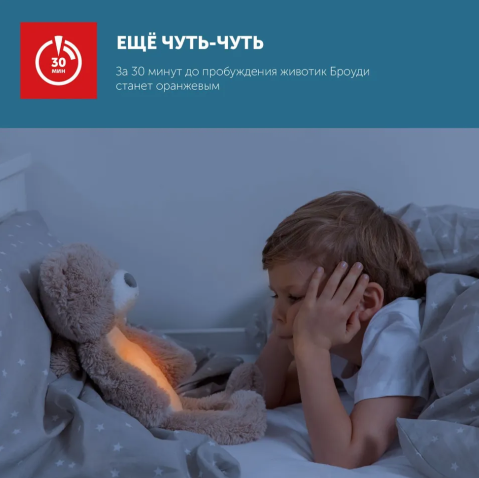 Музыкальный тренер сна ZAZU 9