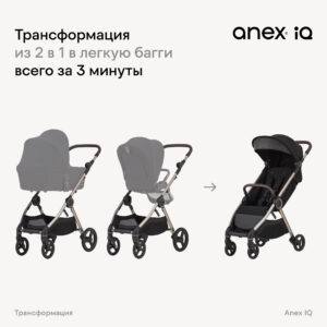 IQ-nt-1 Коляска 2в1 Anex IQ Basic NEW 46