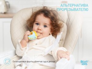 Ниблер Roxy Kids для прикорма с силиконовой сеточкой Dino 13
