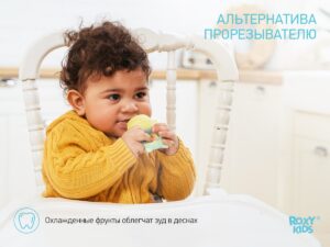 nibler_piggy_mint_d96710933d Ниблер Roxy Kids для прикорма с силиконовой сеточкой Piggy 14