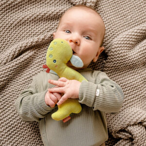 Мягкая погремушка-кольцо FEHN Динозавр 6