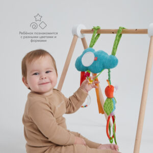 Развивающая подвесная игрушка Happy Baby ОБЛАКО С ПЧЁЛКОЙ 20