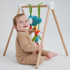 Развивающая подвесная игрушка Happy Baby ОБЛАКО С ПЧЁЛКОЙ 26