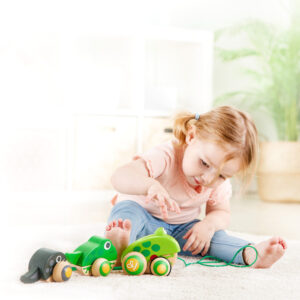 Каталка для малышей Hape "Семья лягушек на прогулке" 12