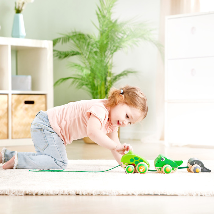 Каталка для малышей Hape "Семья лягушек на прогулке" 5