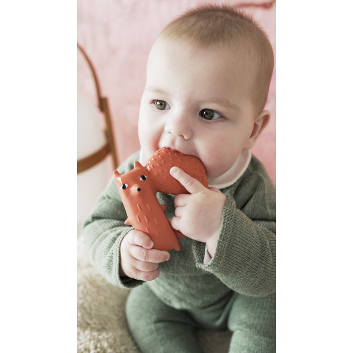 Прорезыватель для зубов Oli&Carol животные 4