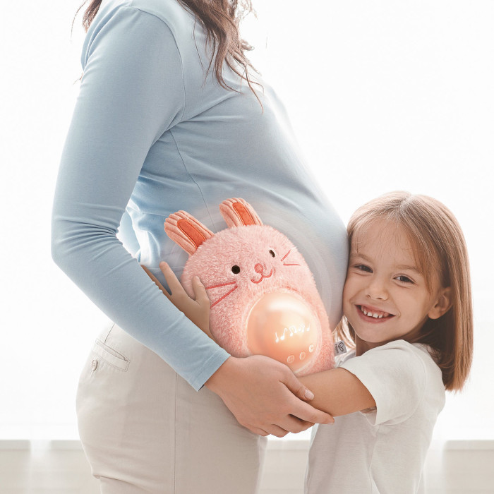 Музыкальная игрушка Hape "Музыкальный друг-кролик" 5