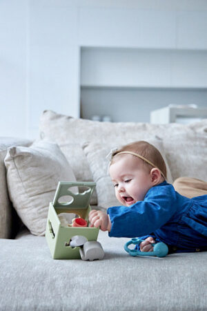 Игрушка-сортер Edda Зверята 18