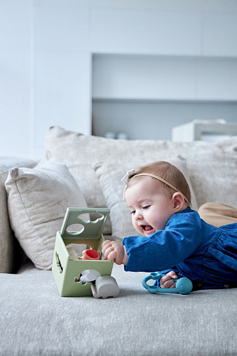 Игрушка-сортер Edda Зверята 9