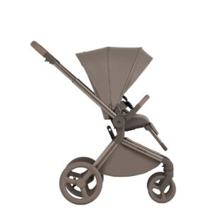 Коляска 2 в 1 Anex Flo 40