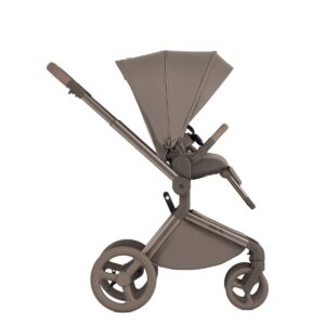 Коляска 2 в 1 Anex Flo 41