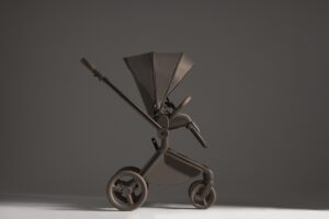 Коляска 2 в 1 Anex Flo 49