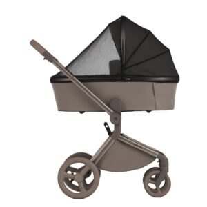 Коляска 2 в 1 Anex Flo 31