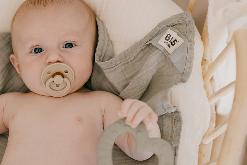 Пустышка латексная BIBS Colour Latex Anatomical Vanilla 0+ мес. 2