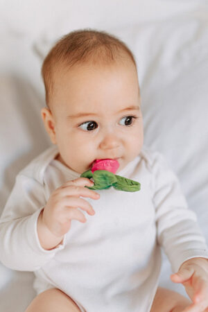 Прорезыватель для зубов Oli&Carol RAMONITA THE RADISH мини 5