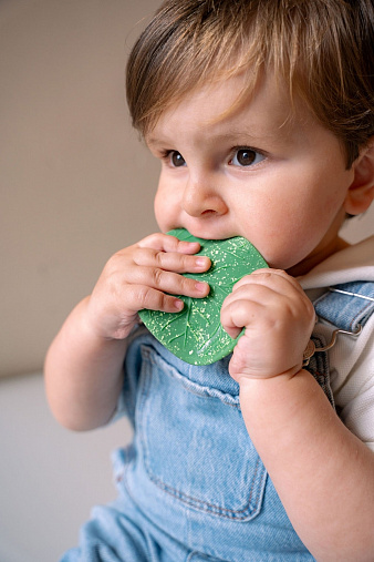 Игрушка-прорезыватель Oli&Carol Chlorophyll Leaf 4