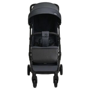 Коляска прогулочная Pituso Pera X-33 19