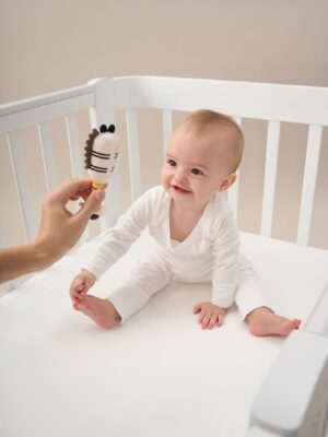 Набор игрушек Happy baby JOLLY FRIENDS 39