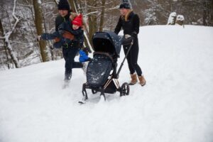 Полозья для коляски Cybex PRIAM 27