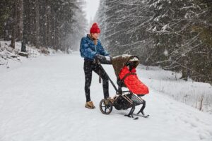 Полозья для коляски Cybex PRIAM 28