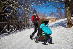 Полозья для коляски Cybex PRIAM 29