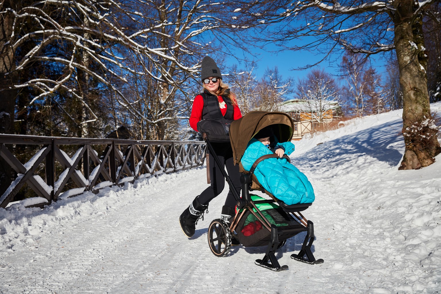 Полозья для коляски Cybex PRIAM 14