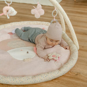 Развивающий коврик FEHN Птичка 8