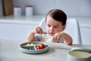 Секционная тарелка на присоске Edda, Небо 9