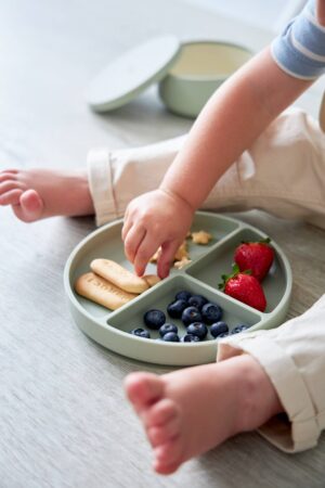 Секционная тарелка на присоске Edda, Мимоза 10