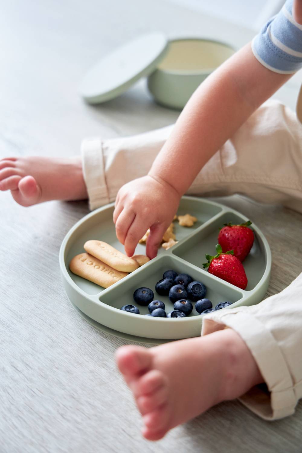 Секционная тарелка на присоске Edda, Мимоза 3