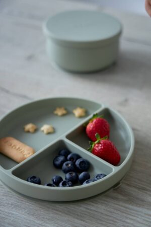 Секционная тарелка на присоске Edda, Небо 11