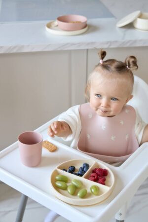 Секционная тарелка на присоске Edda, Мимоза 9