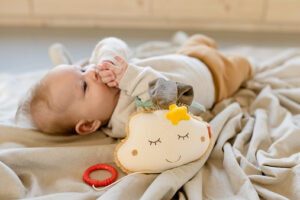 Музыкальная игрушка-подвеска FEHN Облако 7