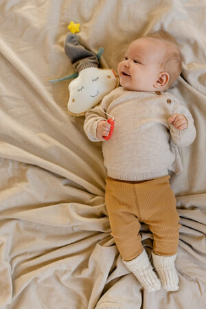 Музыкальная игрушка-подвеска FEHN Облако 6