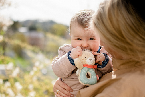Мягкая погремушка-кольцо FEHN Мишка Бруно 2