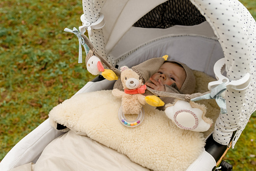 Погремушка-растяжка на коляску/кроватку FEHN Мишка Бруно 3