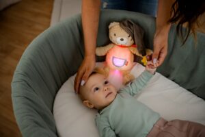 Игрушка-ночник FEHN Мишка Бруно 5