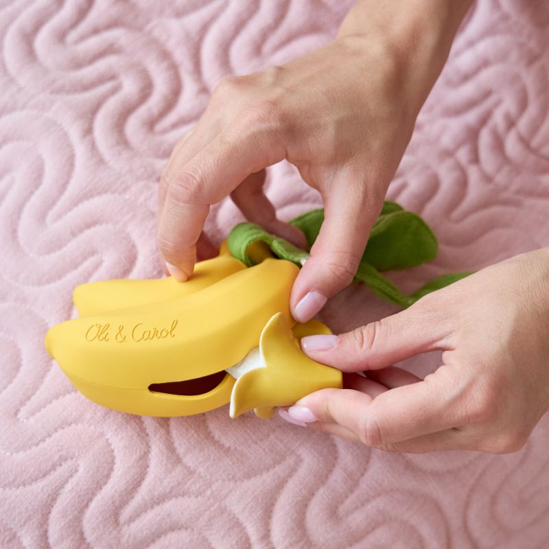 Игрушка-контейнер Oli&Carol 2