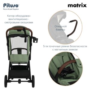 Коляска прогулочная Pituso Matrix 42