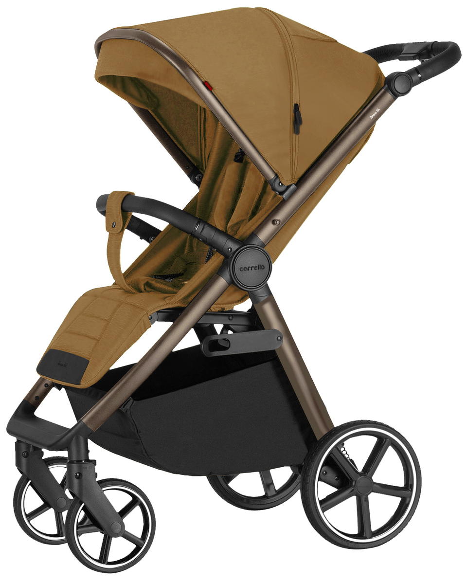 Коляска прогулочная Carrello Bravo SL CRL-5520 1