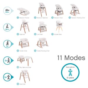 Стул для кормления Tutti Bambini растущий High Chair Nova 18