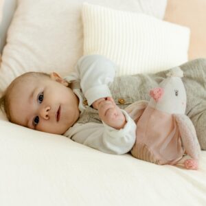 игрушка грелка с виноградными косточками птичка