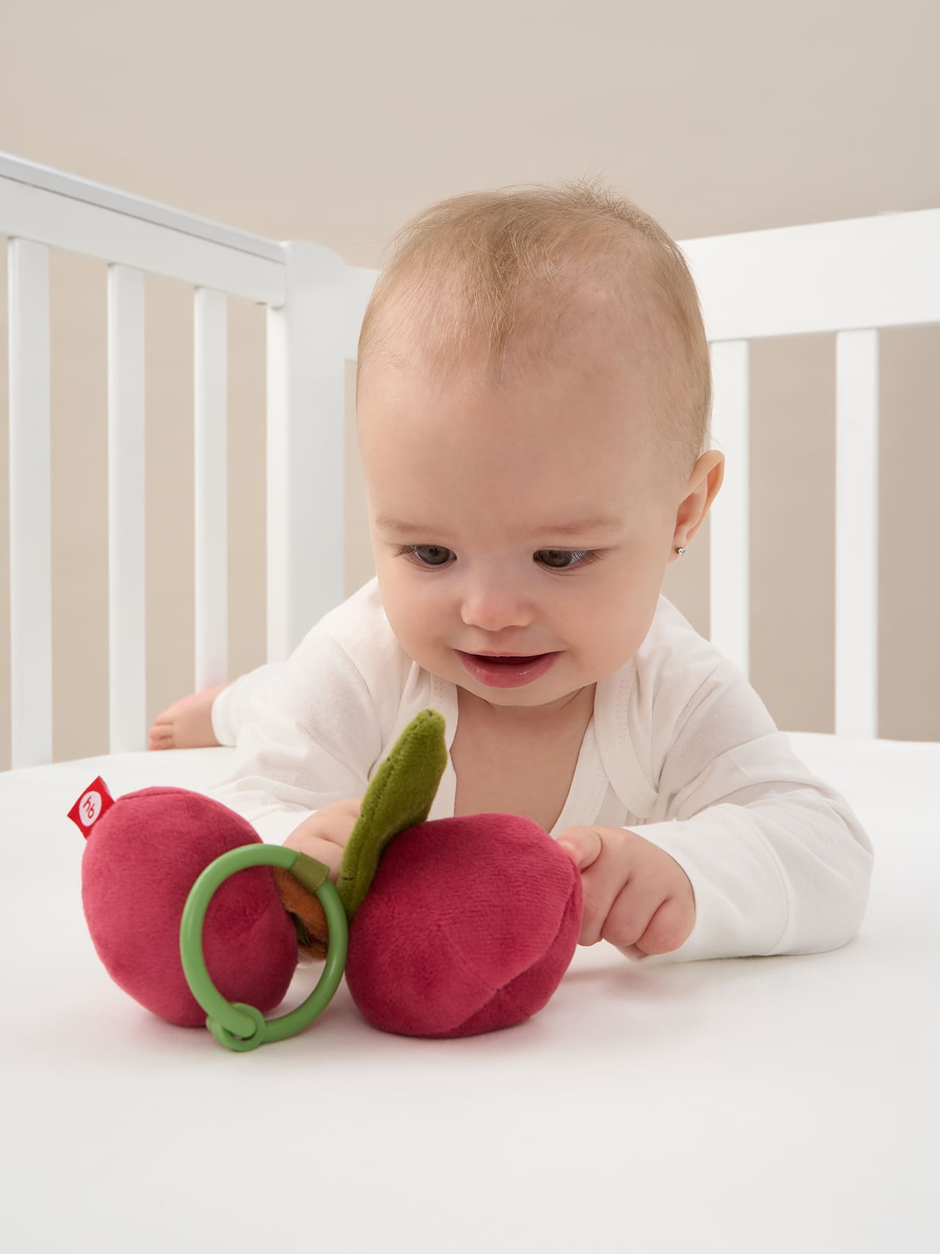 вишня шуршалка